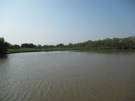 Farm and Ranch in Clay County, Texas