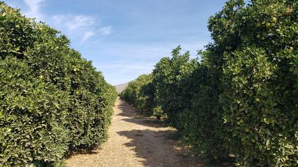 Recreational Property in Tulare County, California