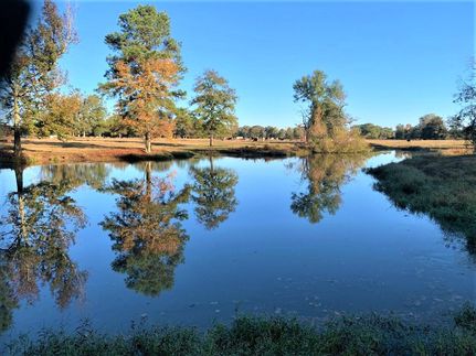Farm and Ranch in Bowie County, Texas