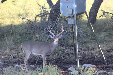 Undeveloped Land in Kimble County, Texas