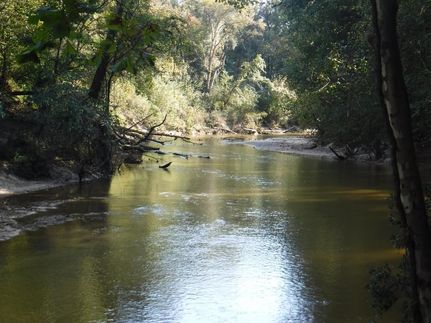Farm and Ranch in Choctaw County, Alabama
