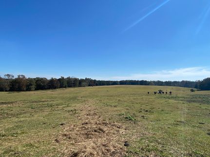 Hunting Property in Pike County, Alabama