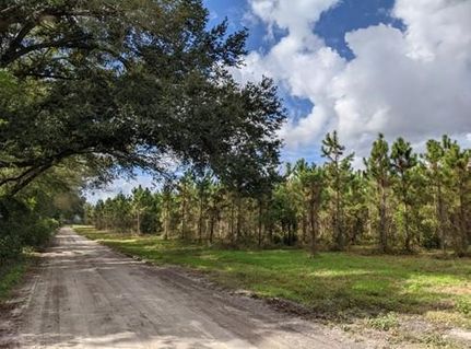 Recreational Property in Suwannee County, Florida