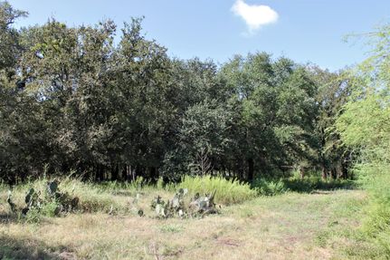 Farm and Ranch in Atascosa County, Texas