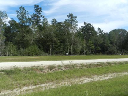 Timberland Property in Montgomery County, Texas