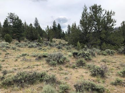 Hunting Property in Lake County, Oregon