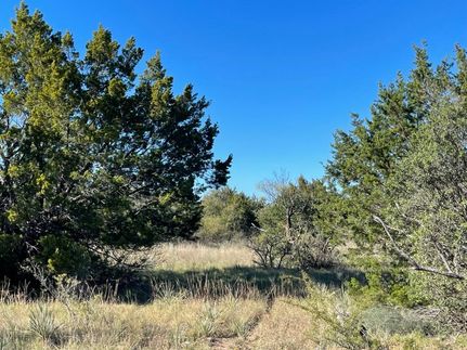 Recreational Property in Brown County, Texas
