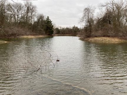 Timberland Property in McLennan County, Texas