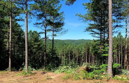 Land in Pickens County, Georgia
