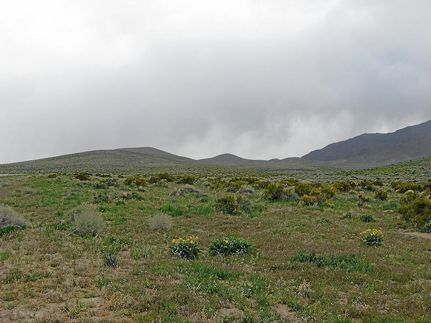 Undeveloped Land in Elko County, Nevada