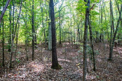 Farm and Ranch in Cherokee County, South Carolina
