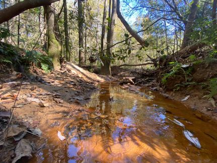 Undeveloped Land in Coffee County, Alabama