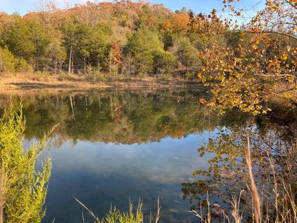 Farm and Ranch in Izard County, Arkansas