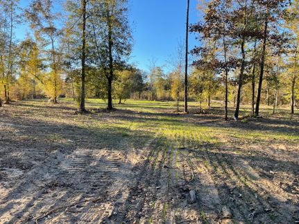 Hunting Property in Sumter County, South Carolina