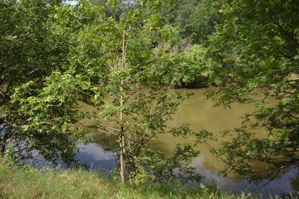 Farm and Ranch in Mills County, Texas