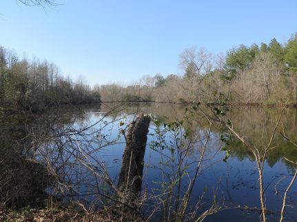 Hunting Property in Jones County, Mississippi