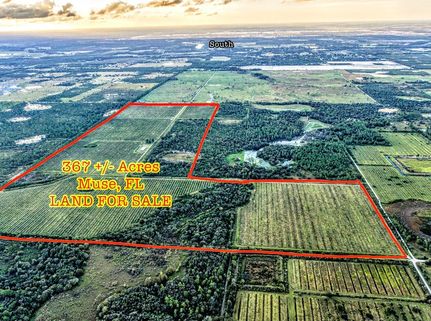 Farm and Ranch in Glades County, Florida