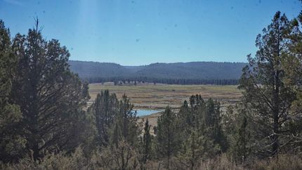 Timberland Property in Klamath County, Oregon