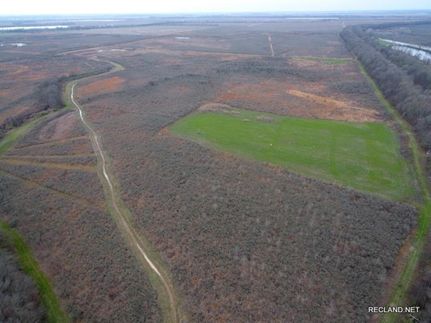 Undeveloped Land in Chicot County, Arkansas