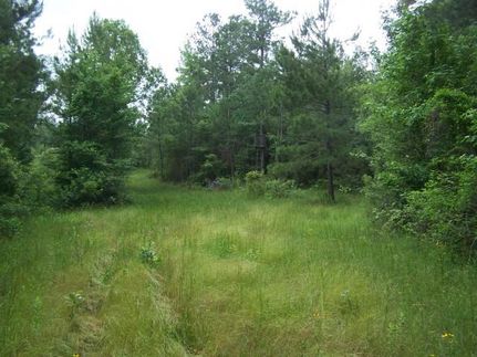 Recreational Property in Grant Parish, Louisiana