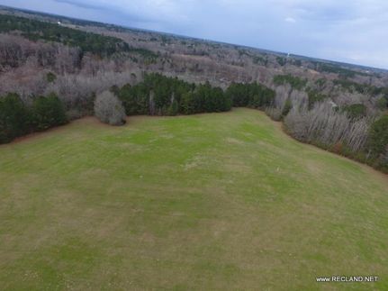 Undeveloped Land in Ouachita Parish, Louisiana