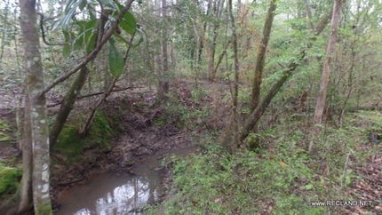 Farm and Ranch in Allen Parish, Louisiana