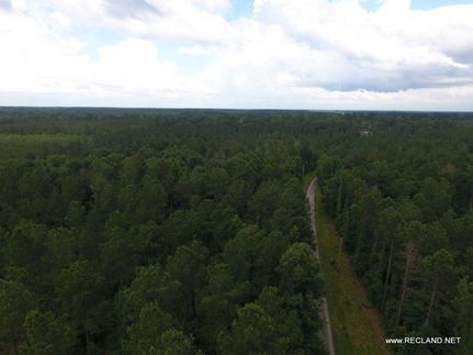 Farm and Ranch in Caldwell Parish, Louisiana