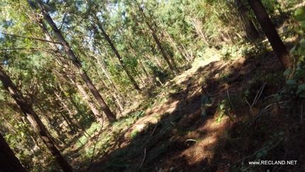 Hunting Property in Natchitoches Parish, Louisiana