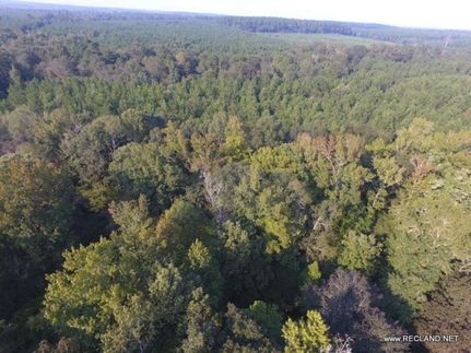 Undeveloped Land in Union Parish, Louisiana