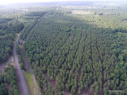 Hunting Property in Winn Parish, Louisiana