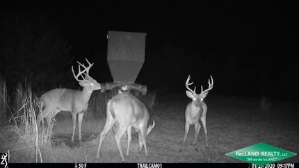 Recreational Property in Caldwell Parish, Louisiana