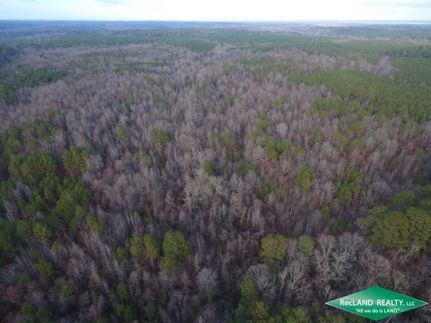Farm and Ranch in Claiborne Parish, Louisiana