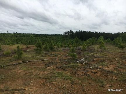 Farm and Ranch in Jackson Parish, Louisiana