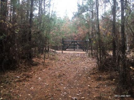 Undeveloped Land in Jackson Parish, Louisiana