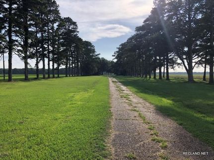 Undeveloped Land in Franklin Parish, Louisiana