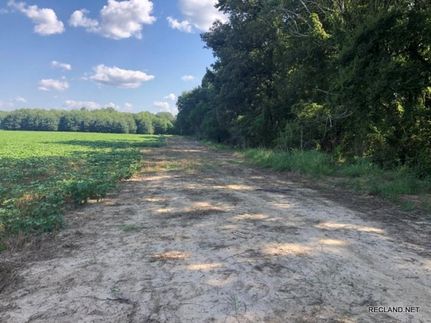 Land in Franklin Parish, Louisiana