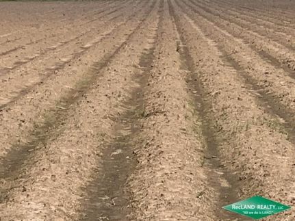 Land in Madison Parish, Louisiana