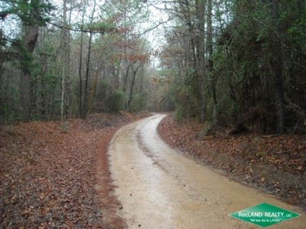 Hunting Property in Natchitoches Parish, Louisiana