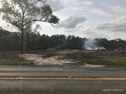 Undeveloped Land in Jasper County, Texas