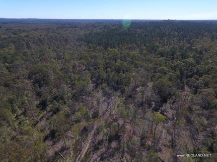 Undeveloped Land in Jasper County, Texas