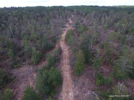 Undeveloped Land in Jasper County, Texas