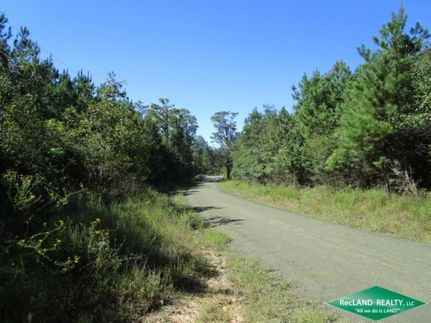 Undeveloped Land in Jasper County, Texas