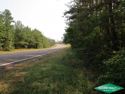 Undeveloped Land in Newton County, Texas