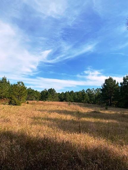 Recreational Property in Baldwin County, Alabama