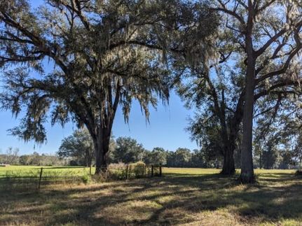 Farm and Ranch in Suwannee County, Florida