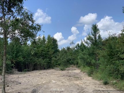 Recreational Property in Scott County, Mississippi