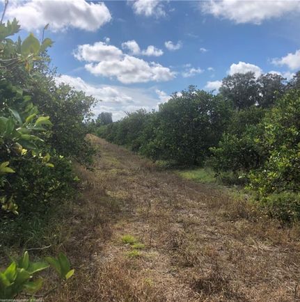 Farm and Ranch in Hardee County, Florida