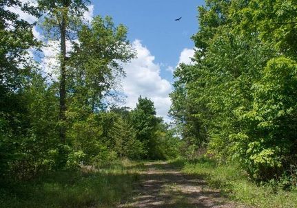 Undeveloped Land in Wayne County, Kentucky