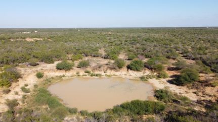 Farm and Ranch in Webb County, Texas