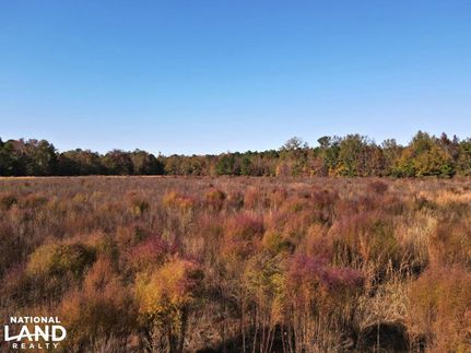 Hunting Property in Darlington County, South Carolina